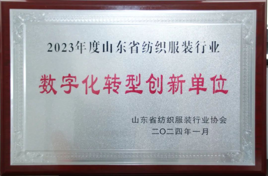 Sanhe Group Was Honored As “Digital Transformation Innovation Unit”.